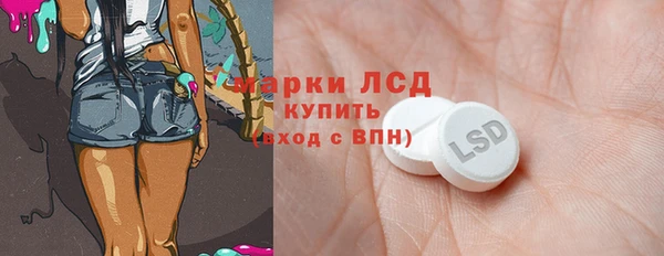 стафф Арсеньев