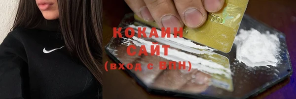 стафф Арсеньев