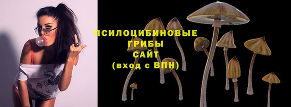 гидра Армянск