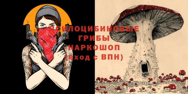 стафф Арсеньев