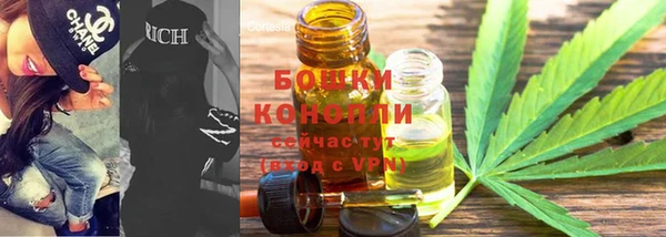 амф Галич