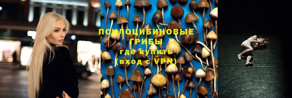 гидра Армянск