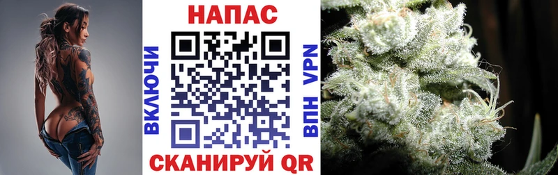 купить наркоту  Елабуга  Бошки Шишки индика 